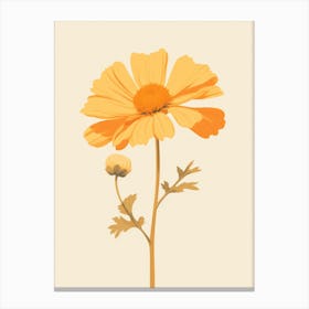 Cosmos 2 Canvas Print