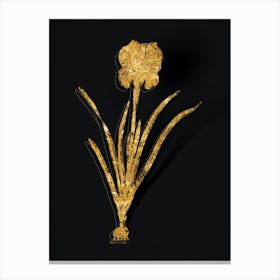 Vintage Mourning Iris Botanical in Gold on Black n.0017 Canvas Print