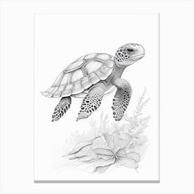 Hatching Sea Turtle, Sea Turtle Quentin Blake Illustration 2 Canvas Print