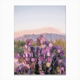 Purple Cactus In Desert Canvas Print