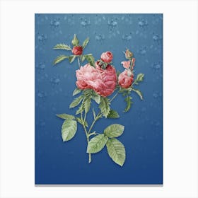 Vintage Cabbage Rose Botanical on Bahama Blue Pattern n.0598 Canvas Print