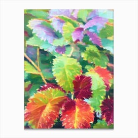 Coleus 2 Impressionist Painting Plant Canvas Print