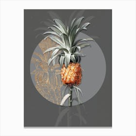 Vintage Botanical Pineapple on Circle Gray on Gray n.0276 Canvas Print