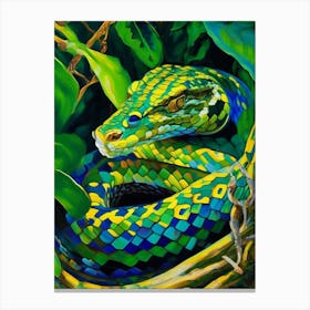 Mangrove Pit Viper 1 Snake Painting Canvas Print