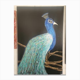 Peacock 4 Canvas Print