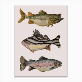 Triple Fish Nautical Canvas Print