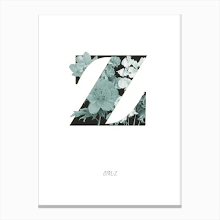 Flower Alphabet Z Canvas Print