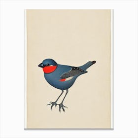 Finch Illustration Bird Canvas Print