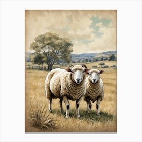 Two Sheep In A Field 1 Canvas Print