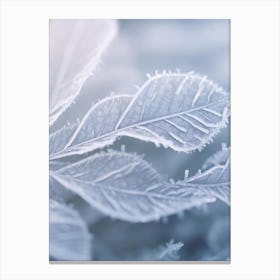 Frosty Leaves 1 Canvas Print