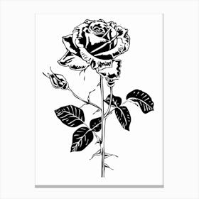 Black And White Rose Line Drawing 7 Canvas Print
