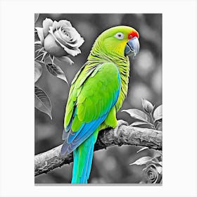 Parrot On A Branch Canvas Print