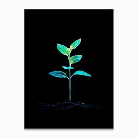 Plant Growing In The Dark 14 Canvas Print