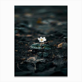 Single White Flower 11 Canvas Print