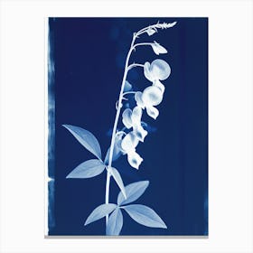 Orchid Canvas Print