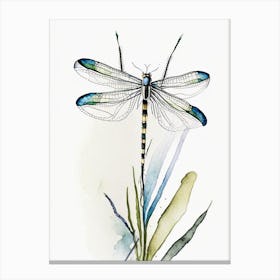 Common Baskettail Dragonfly Minimalist Watercolour 1 Canvas Print