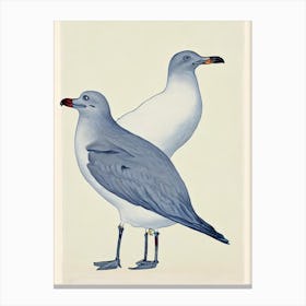 Seagull Illustration Bird Canvas Print