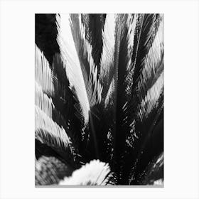 Windy Palm leaves // Ibiza Nature & Travel Photography Canvas Print