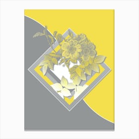 Vintage White Rosebush Botanical Geometric Art in Yellow and Gray n.381 Canvas Print