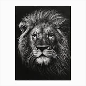 African Lion Charcoal Drawing Portrait Close Up 2 Canvas Print