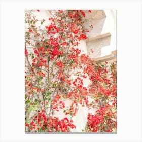 Summer red bougainvillea flowers in Cascais, Portugal - floral nature and travel photography by Christa Stroo Photography. Canvas Print