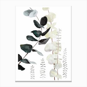 Botanical Illustration Plant Mix2 Canvas Print