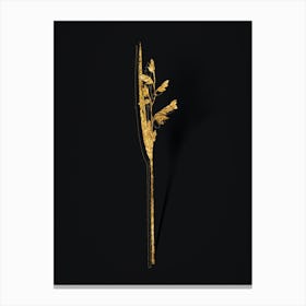 Vintage Powdery Alligator Flag Botanical in Gold on Black Canvas Print