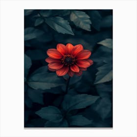 Dark Flower 3 Canvas Print