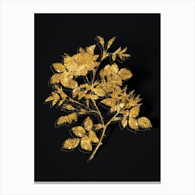 Vintage Malmedy Rose Botanical in Gold on Black n.0523 Canvas Print