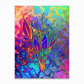 European Water Plantain Botanical in Acid Neon Pink Green and Blue n.0246 Canvas Print