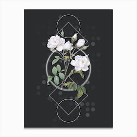 Vintage White Rose Botanical with Geometric Line Motif and Dot Pattern n.0203 Canvas Print