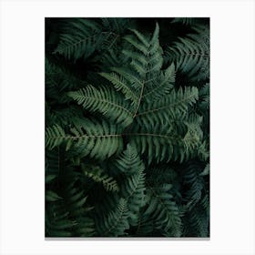 Lush Forest Greens Canvas Print