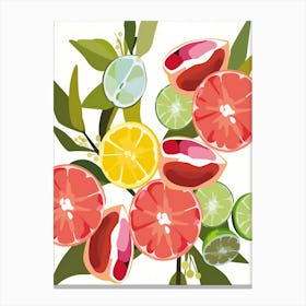 Citrus Fruit Canvas Print