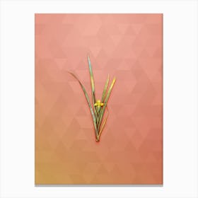 Vintage Yellow Iris Botanical Art on Peach Pink n.0615 Canvas Print