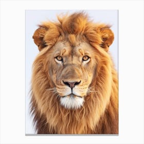 Barbary Lion Portrait Close Up Clipart 2 Canvas Print