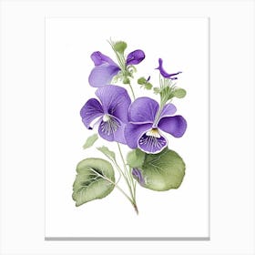 Violets Floral Quentin Blake Inspired Illustration 1 Flower Canvas Print