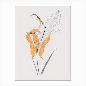 Tiger Lily Floral Minimal Line Drawing 3 Flower Canvas Print