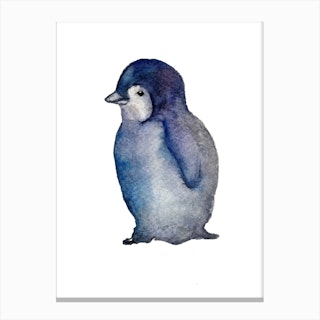 Penguin Chick Canvas Print
