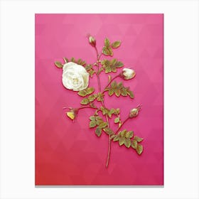 Vintage Silver Flower Hispid Rose Botanical Art on Beetroot Purple n.1809 Canvas Print