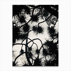Branches And Shadows Canvas Print