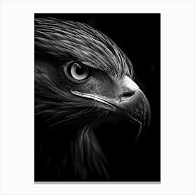 Eagle Portrait Canvas Print