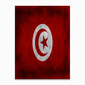 Tunisia Flag Texture Canvas Print