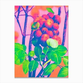 Rambutan 1 Risograph Retro Poster Fruit Canvas Print