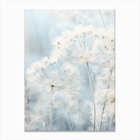 Frosty Botanical Queen Annes Lace 2 Canvas Print