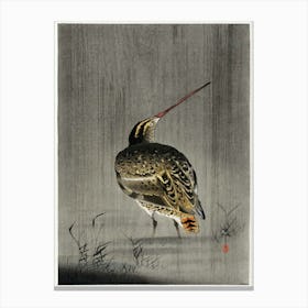 Snipe In The Rain (1900 1930), Ohara Koson Canvas Print