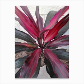 Pink Plant Canvas Print