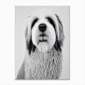 Old English Sheepdog B&W Pencil dog Canvas Print