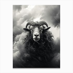 Black & White Illustration Of Highland Ram Canvas Print