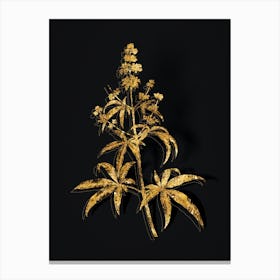 Vintage Chaste Tree Botanical in Gold on Black n.0350 Canvas Print