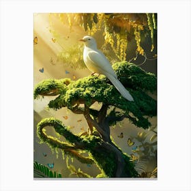 White Dove In The Forest Canvas Print